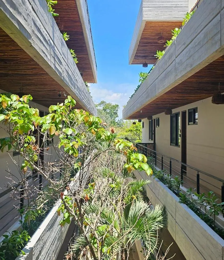 Botanic Tulum, Nuevo Y Equipado, Cerca De La Playaアパートメント アパート トゥルム