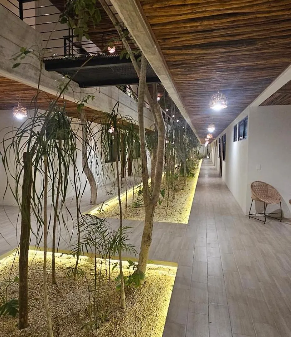 アパート Botanic Tulum, Nuevo Y Equipado, Cerca De La Playaアパートメント