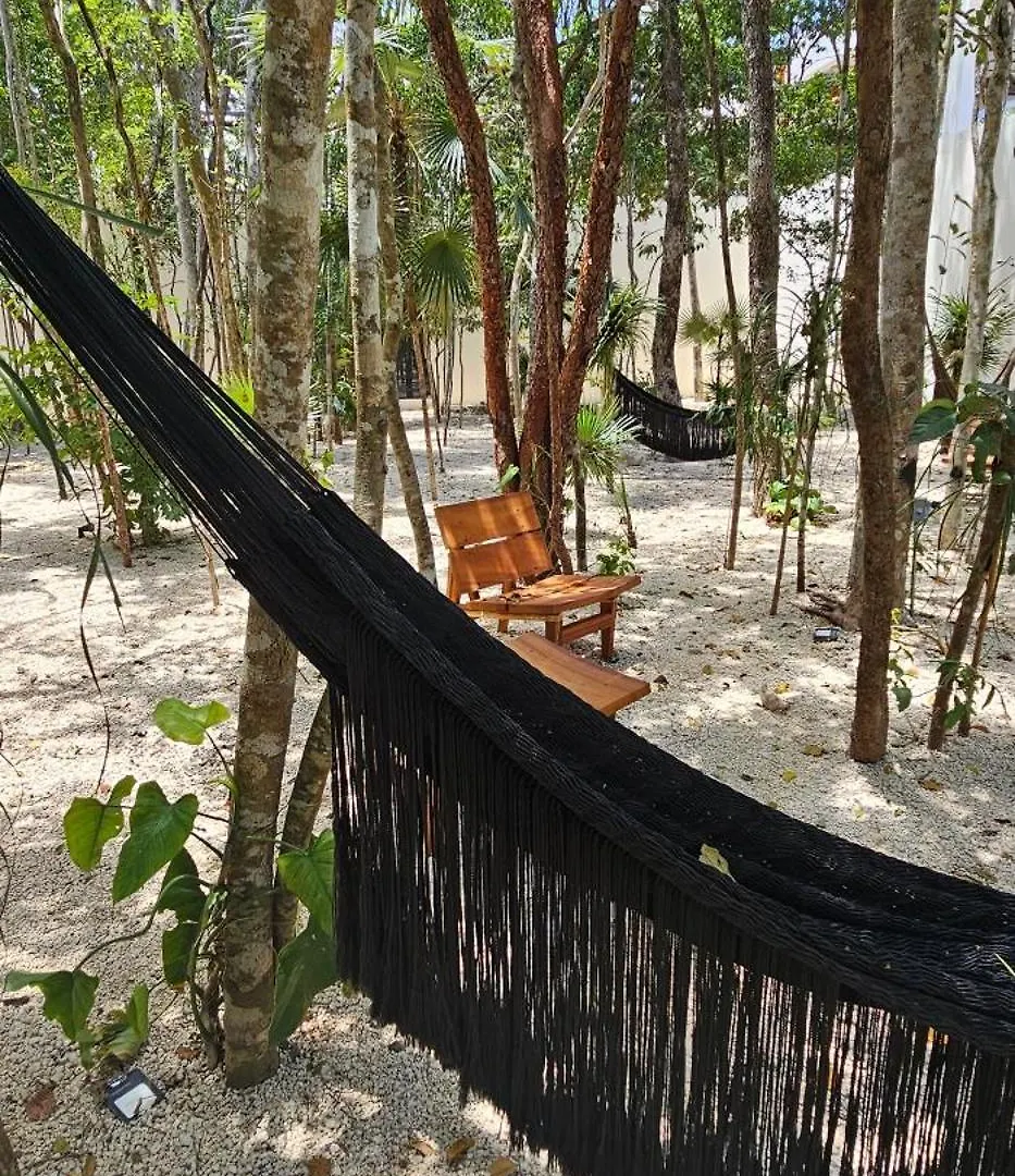 Botanic Tulum, Nuevo Y Equipado, Cerca De La Playaアパートメント アパート