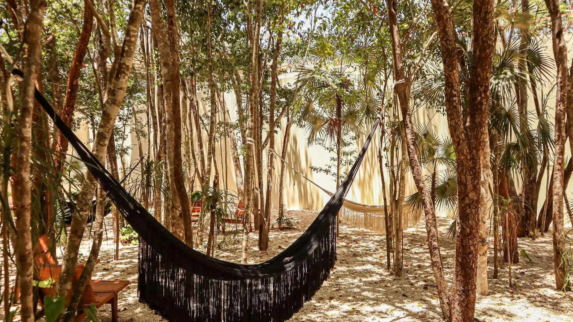 Botanic Tulum, Nuevo Y Equipado, Cerca De La Playaアパートメント アパート トゥルム